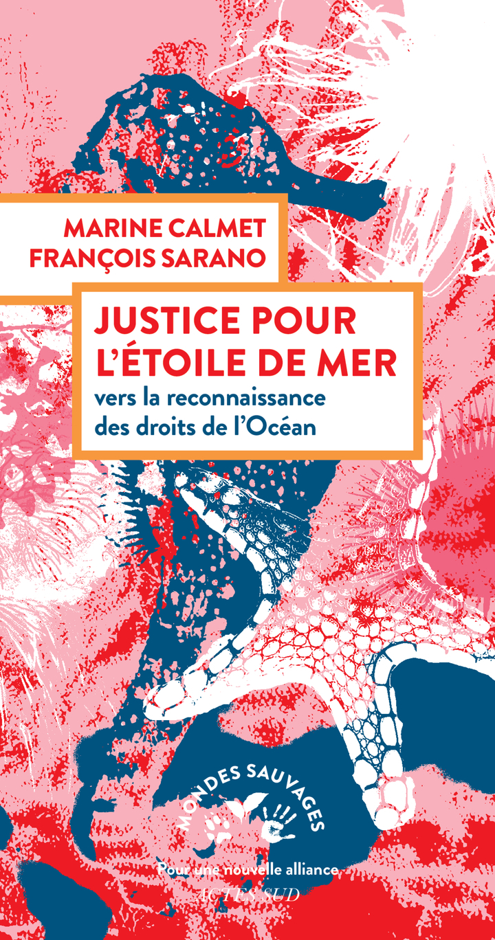 JUSTICE POUR L´ETOILE DE MER - VERS LA RECONNAISSANCE DES DROITS DE L´OCEAN