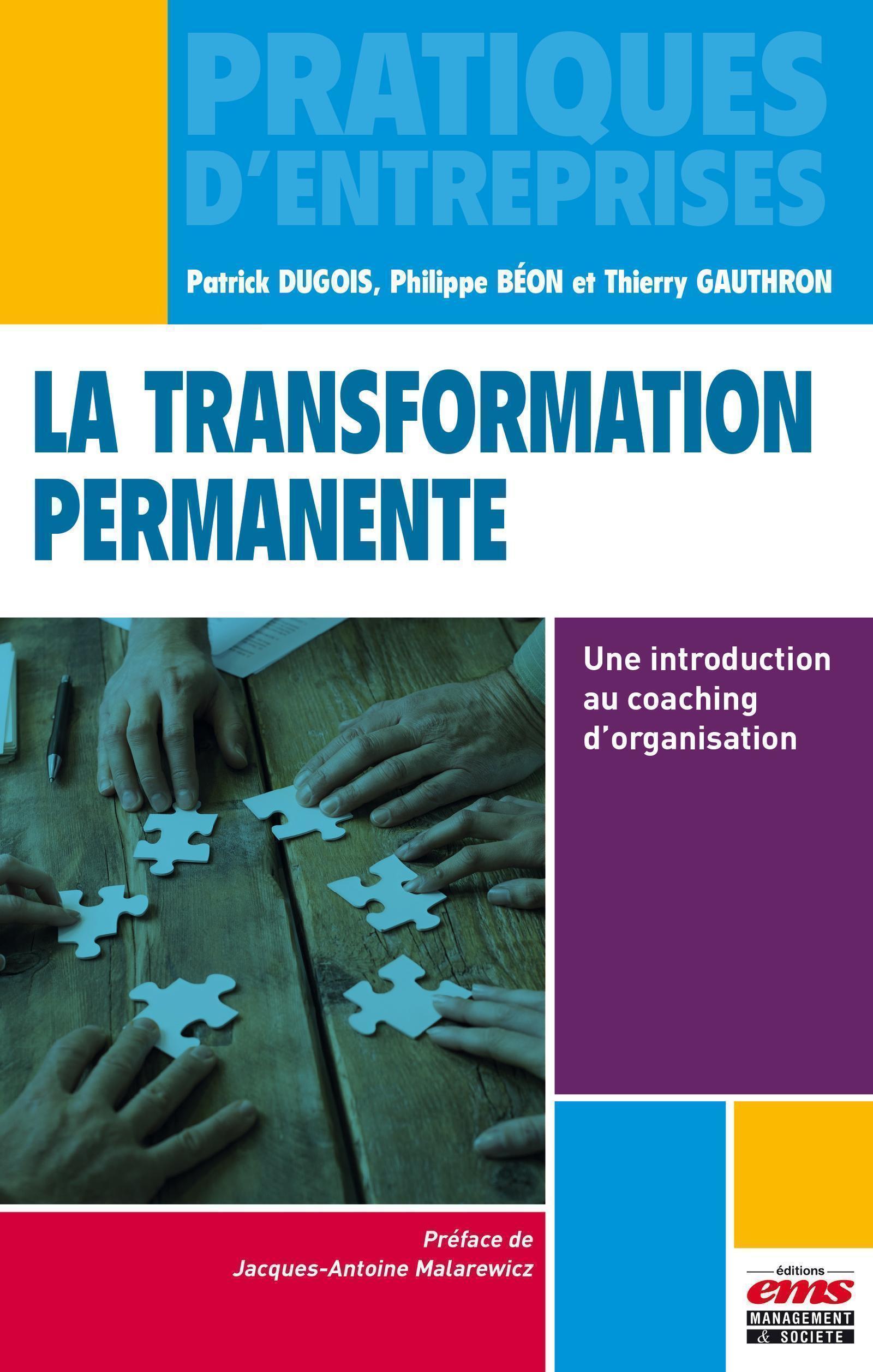 TRANSFORMATION PERMANENTE UNE INTRODUCTION AU COACHING D ORGANISATION