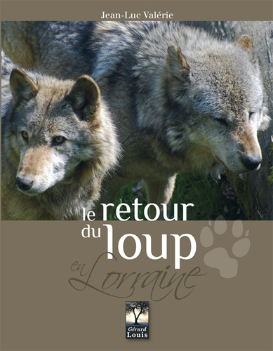 RETOUR DU LOUP EN LORRAINE