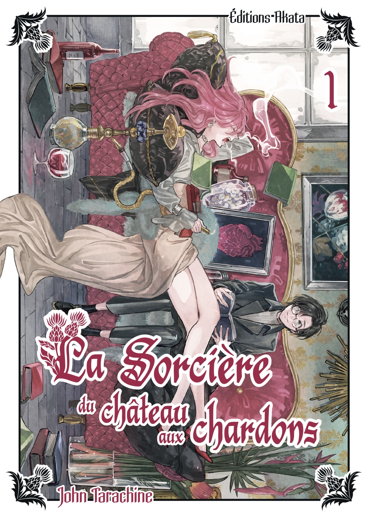 SORCIERE DU CHATEAU AUX CHARDONS - TOME 1