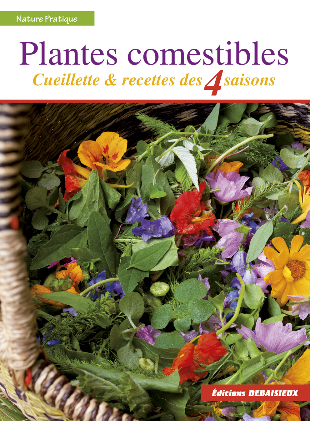 PLANTES COMESTIBLES : CUEILLETTE ET RECETTES DES 4 SAISONS