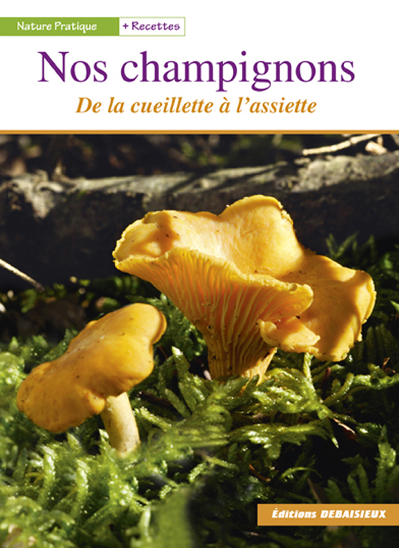 NOS CHAMPIGNONS - DE LA CUEILLETTE A L´ASSIETTE