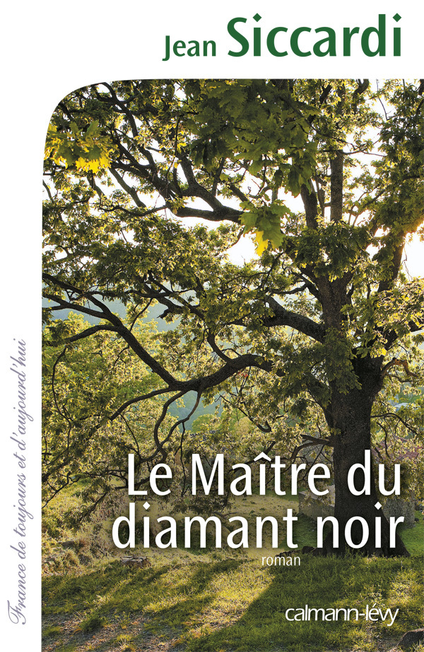 MAITRE DU DIAMANT NOIR