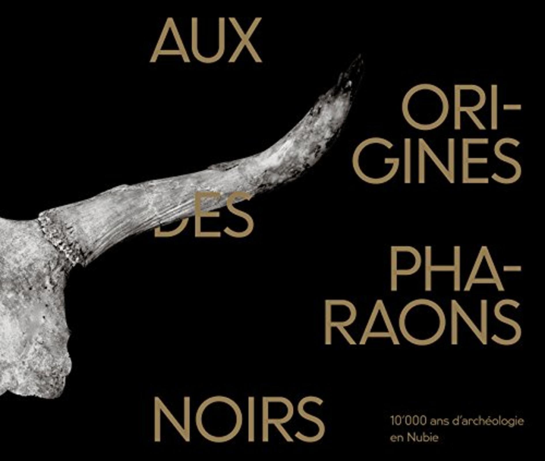 AUX ORIGINES DES PHARAONS NOIRS : 10´000 ANS D´ARCHEOLOGIE EN NUBIE
