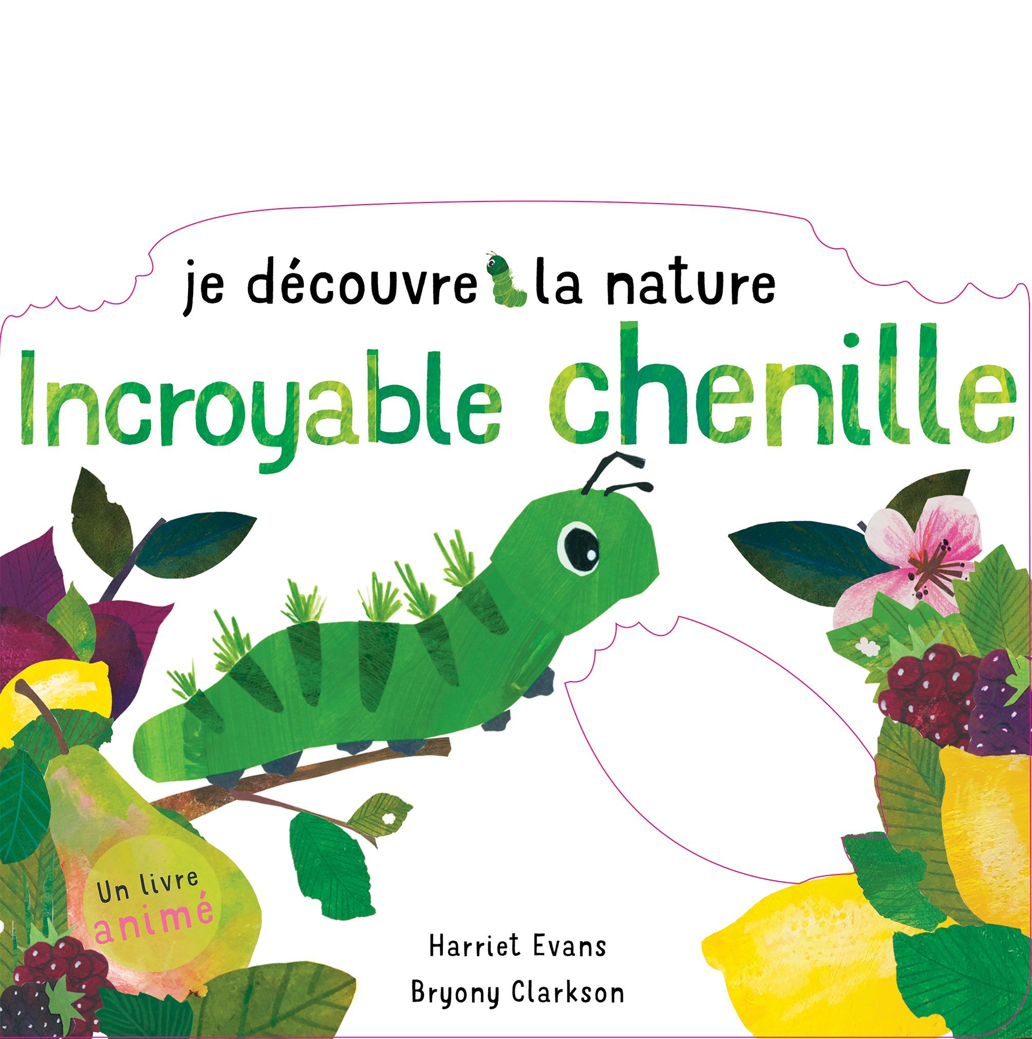 JE DECOUVRE LA NATURE - INCROYABLE CHENILLE