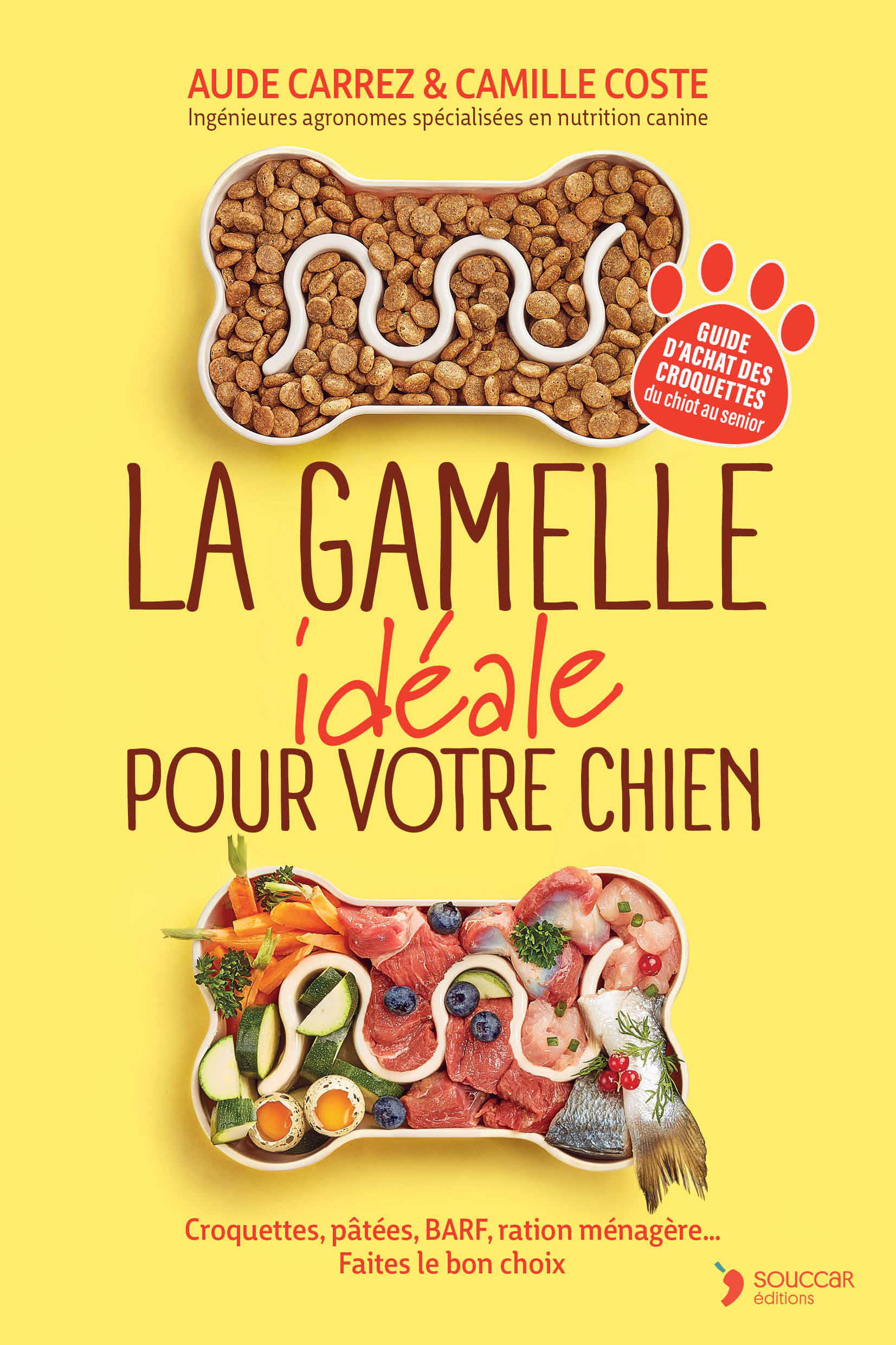 GAMELLE IDEALE POUR VOTRE CHIEN - CROQUETTES, PATEES, BARF, RATION MENAGERE COMMENT NOURRIR VOTRE