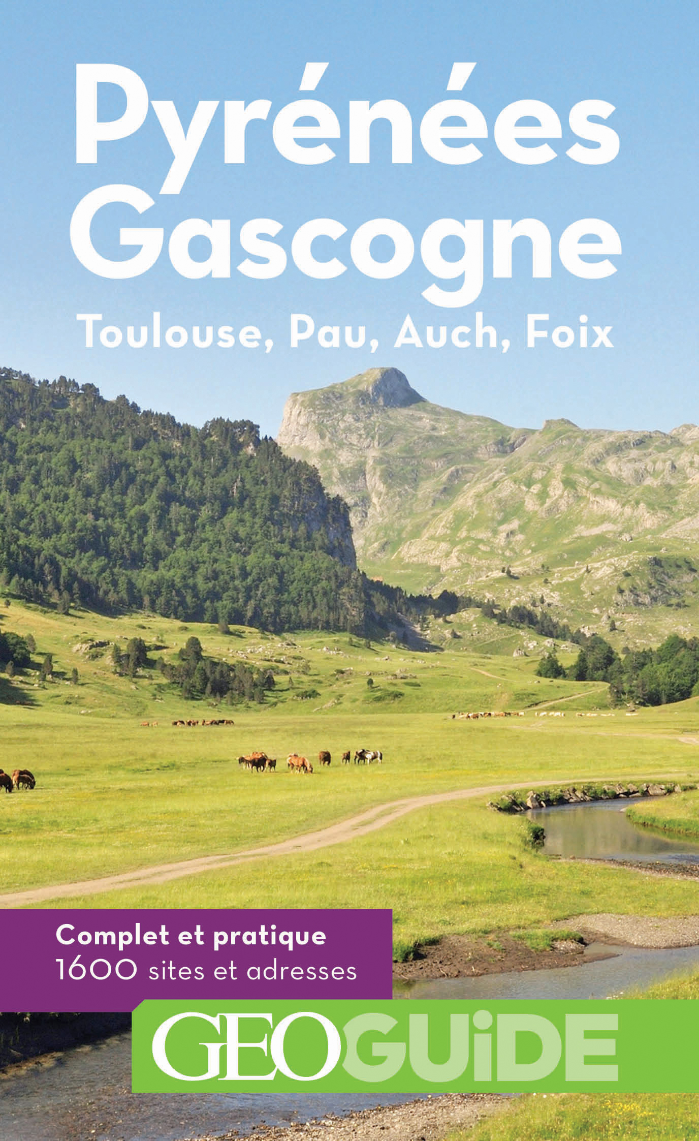 PYRENEES GASCOGNE - TOULOUSE, PAU, AUCH, FOIX 2021