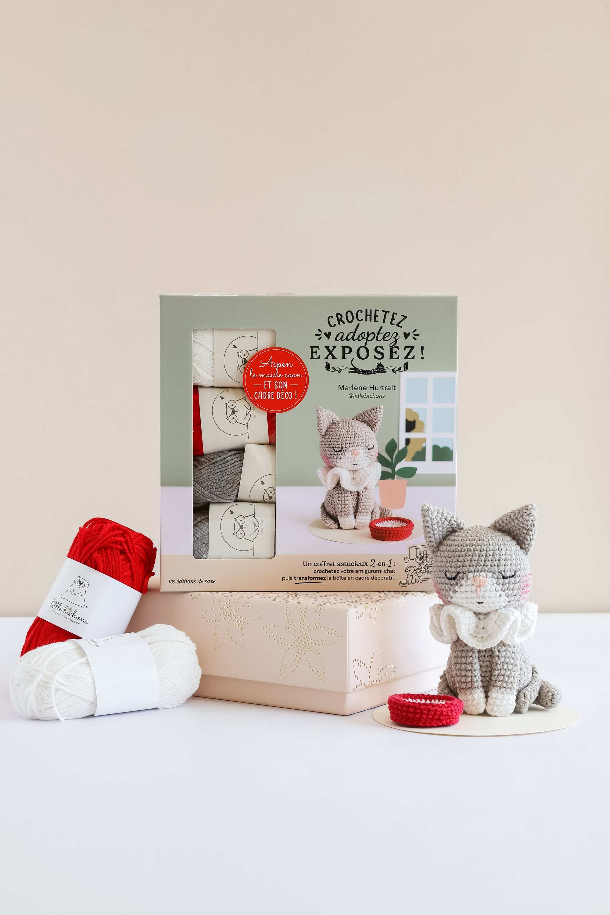 CROCHETEZ, ADOPTEZ, EXPOSEZ ! COFFRET CHAT : ASPEN LE MAINE COON