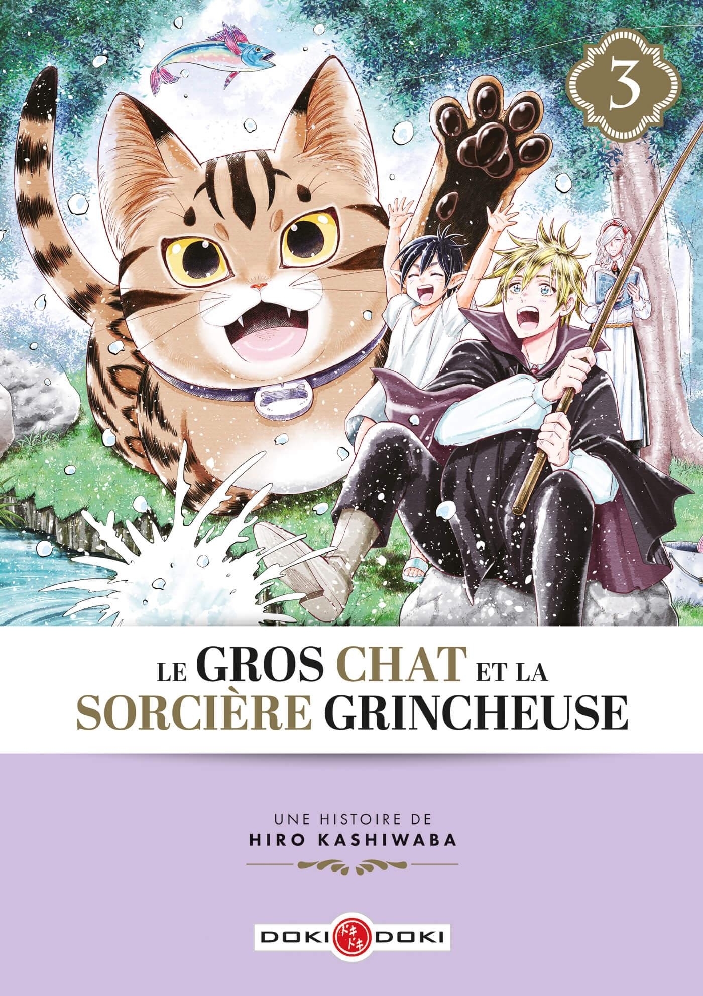 GROS CHAT ET LA SORCIERE GRINCHEUSE (LE) - T03 - LE GROS CHAT ET LA SORCIERE GRINCHEUSE - VOL. 03