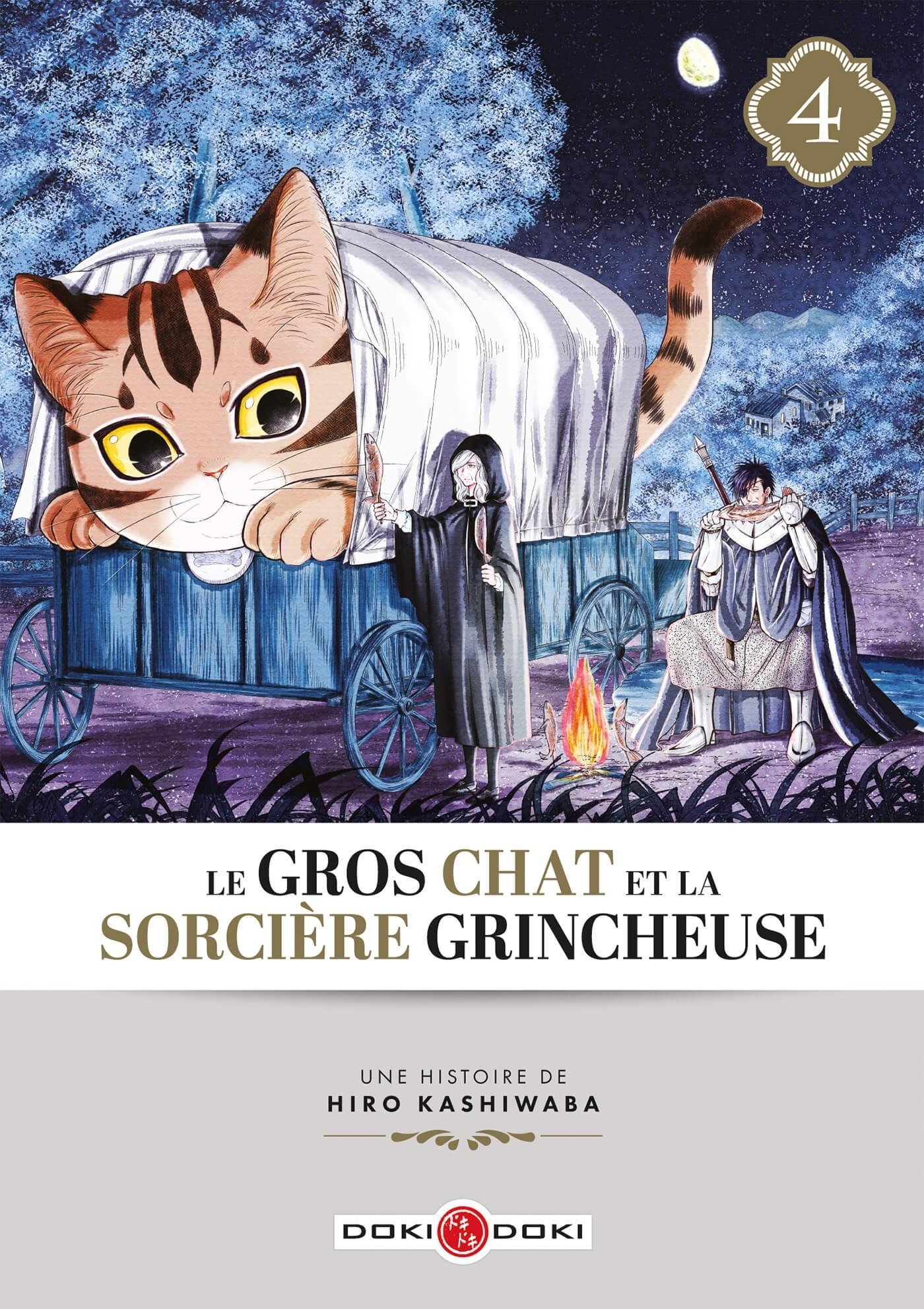 GROS CHAT ET LA SORCIERE GRINCHEUSE (LE) - T04 - LE GROS CHAT ET LA SORCIERE GRINCHEUSE - VOL. 04