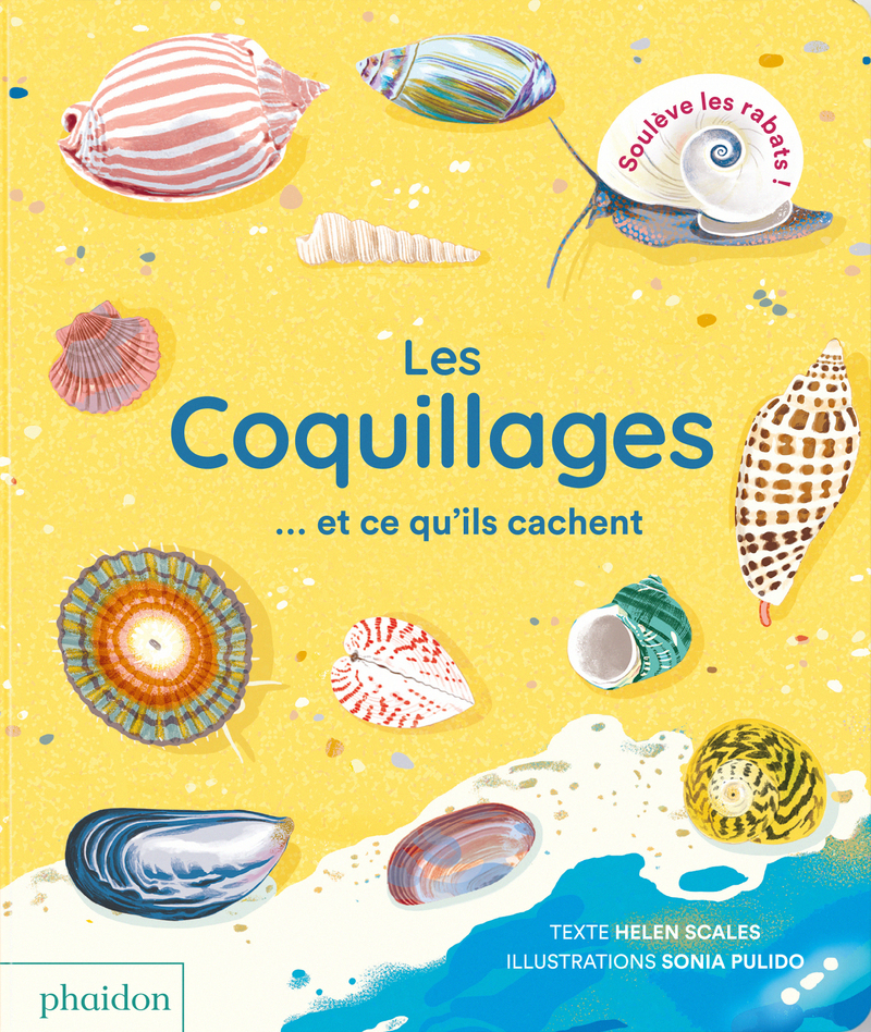 COQUILLAGES ET CE QU´ILS CACHENT