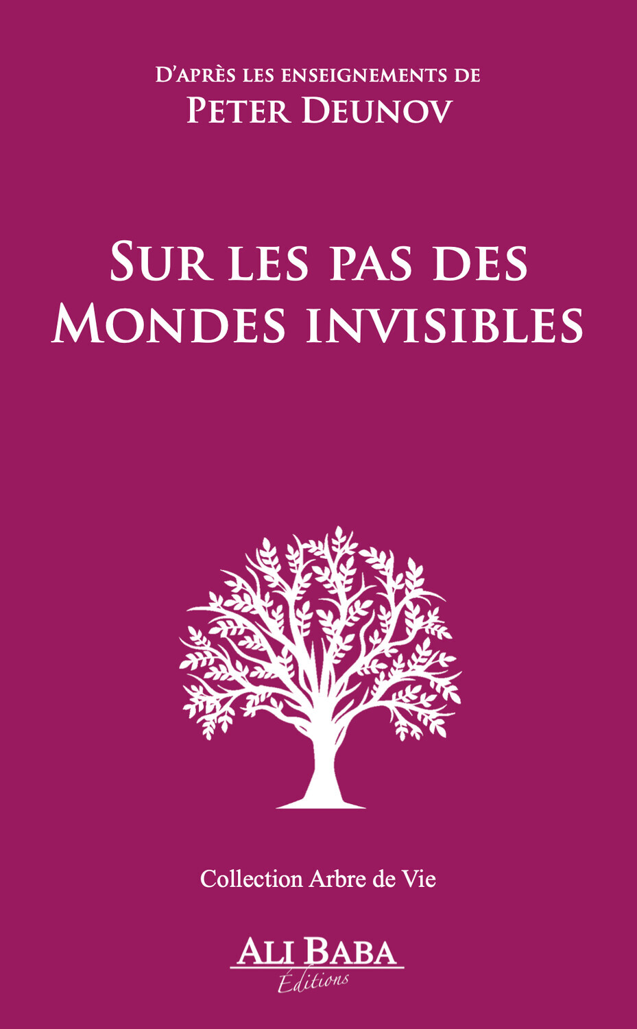 SUR LES PAS DES MONDES INVISIBLES