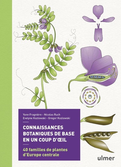 CONNAISSANCES BOTANIQUES DE BASE EN UN COUP D´OEIL