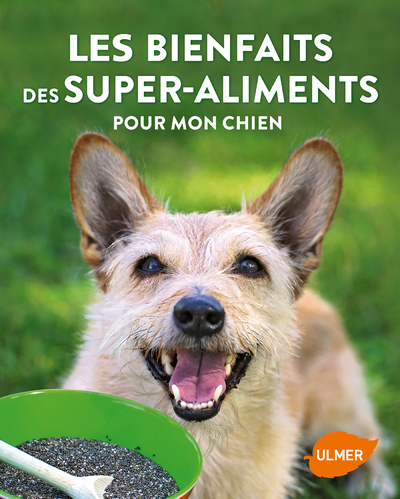 BIENFAITS DES SUPER-ALIMENTS POUR MON CHIEN