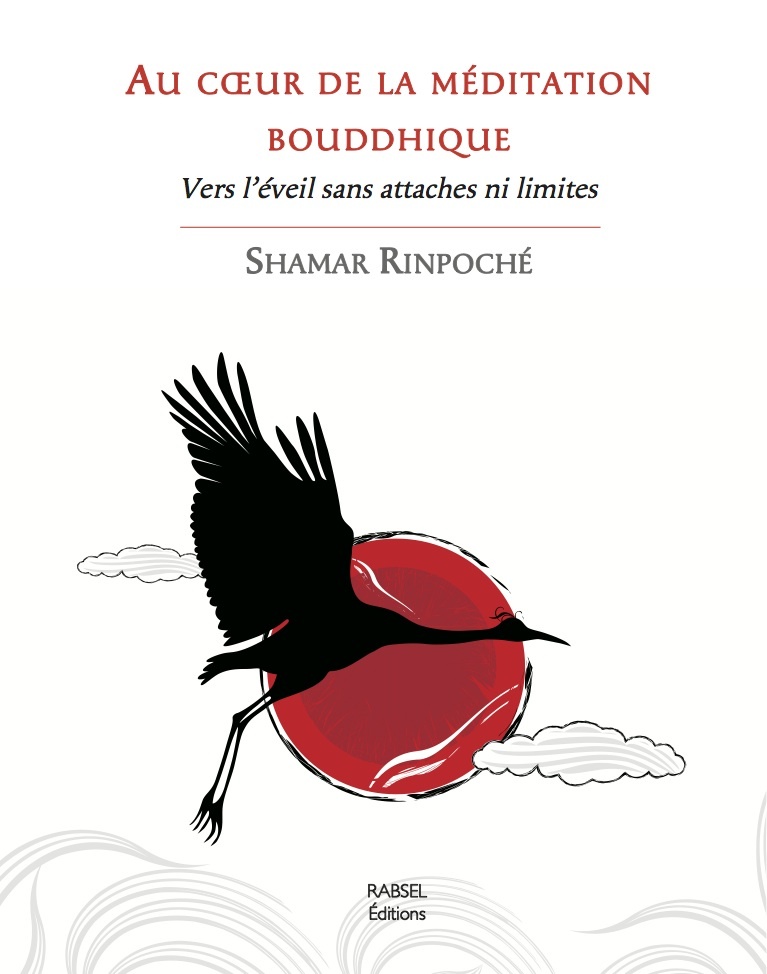 AU COEUR DE LA MEDITATION BOUDDHIQUE - VERS L´EVEIL SANS ATTACHES NI LIMITE