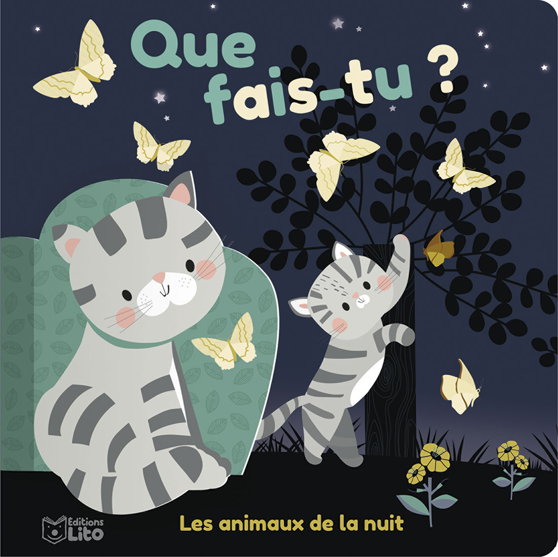 QUE FAIS TU - ANIM DE LA NUIT