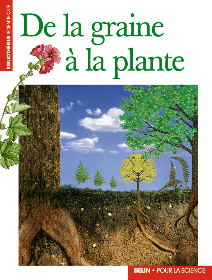 DE LA GRAINE A LA PLANTE