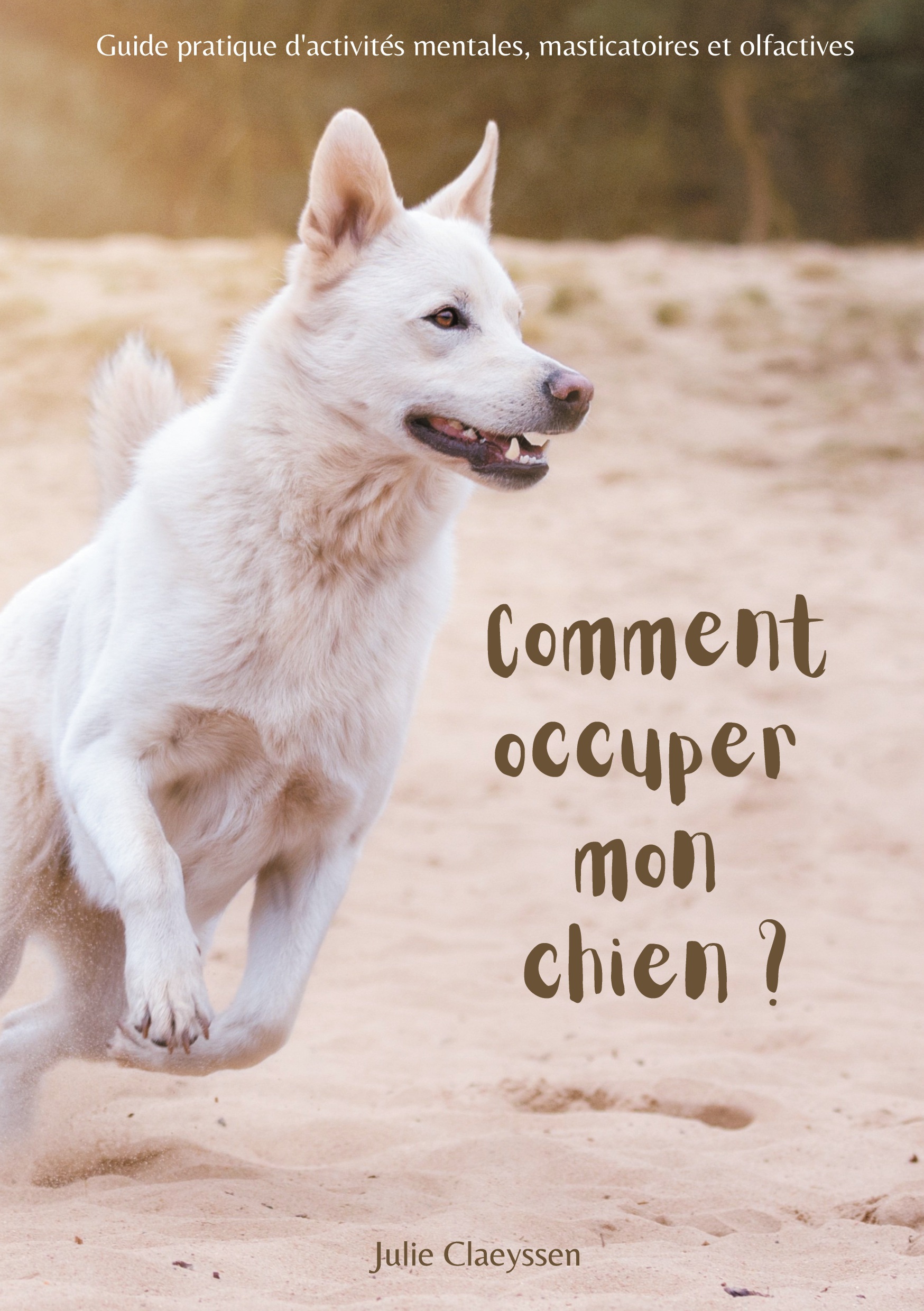 COMMENT OCCUPER MON CHIEN ? - GUIDE PRATIQUE D´ACTIVITES MASTICATOIRES, OLF