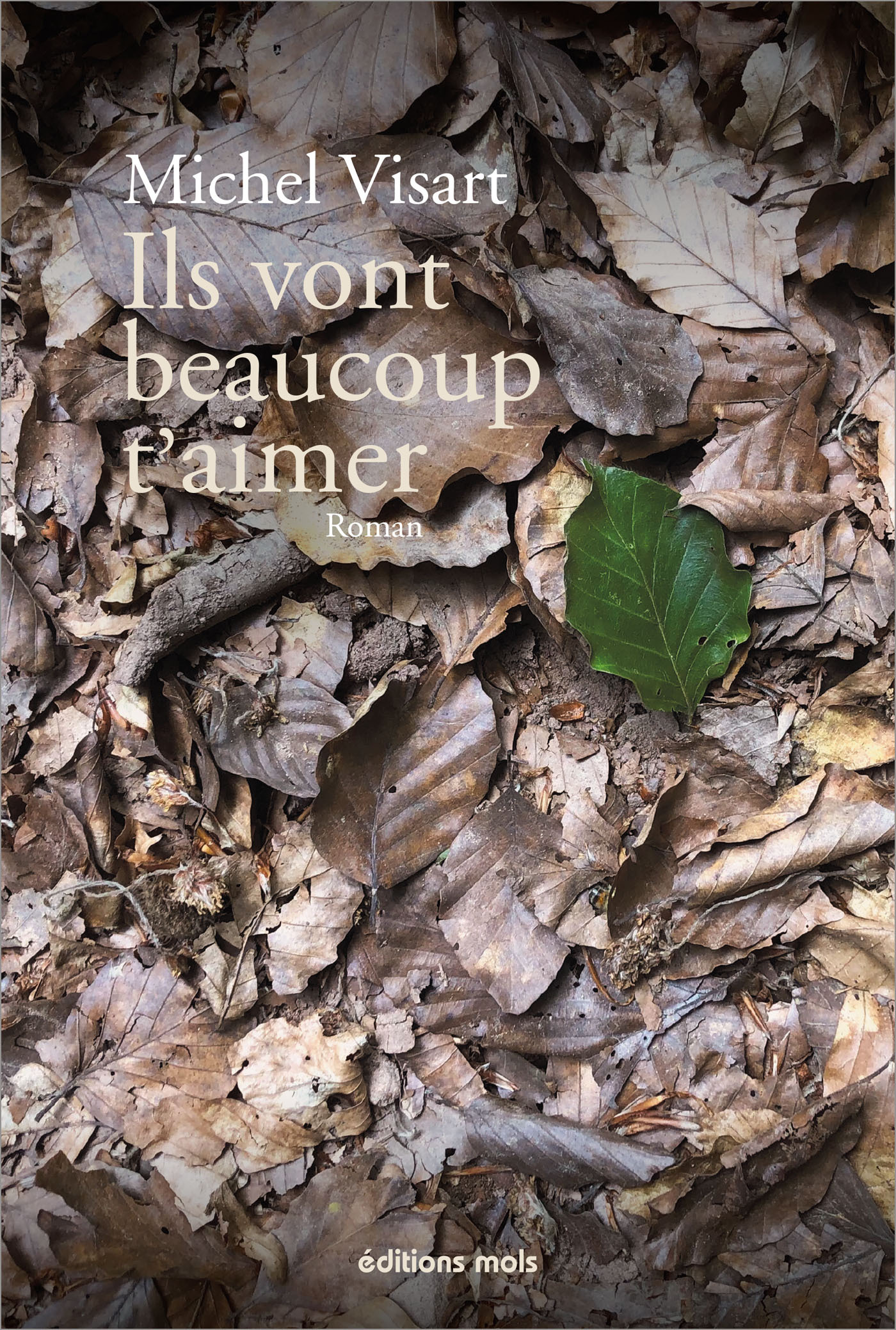 ILS VONT BEAUCOUP T´AIMER - ROMAN