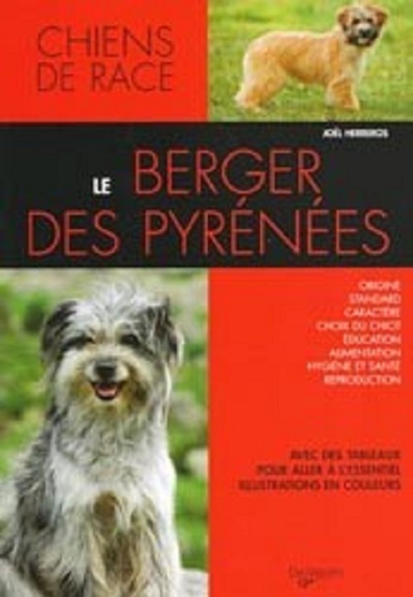 BERGER DES PYRENEES