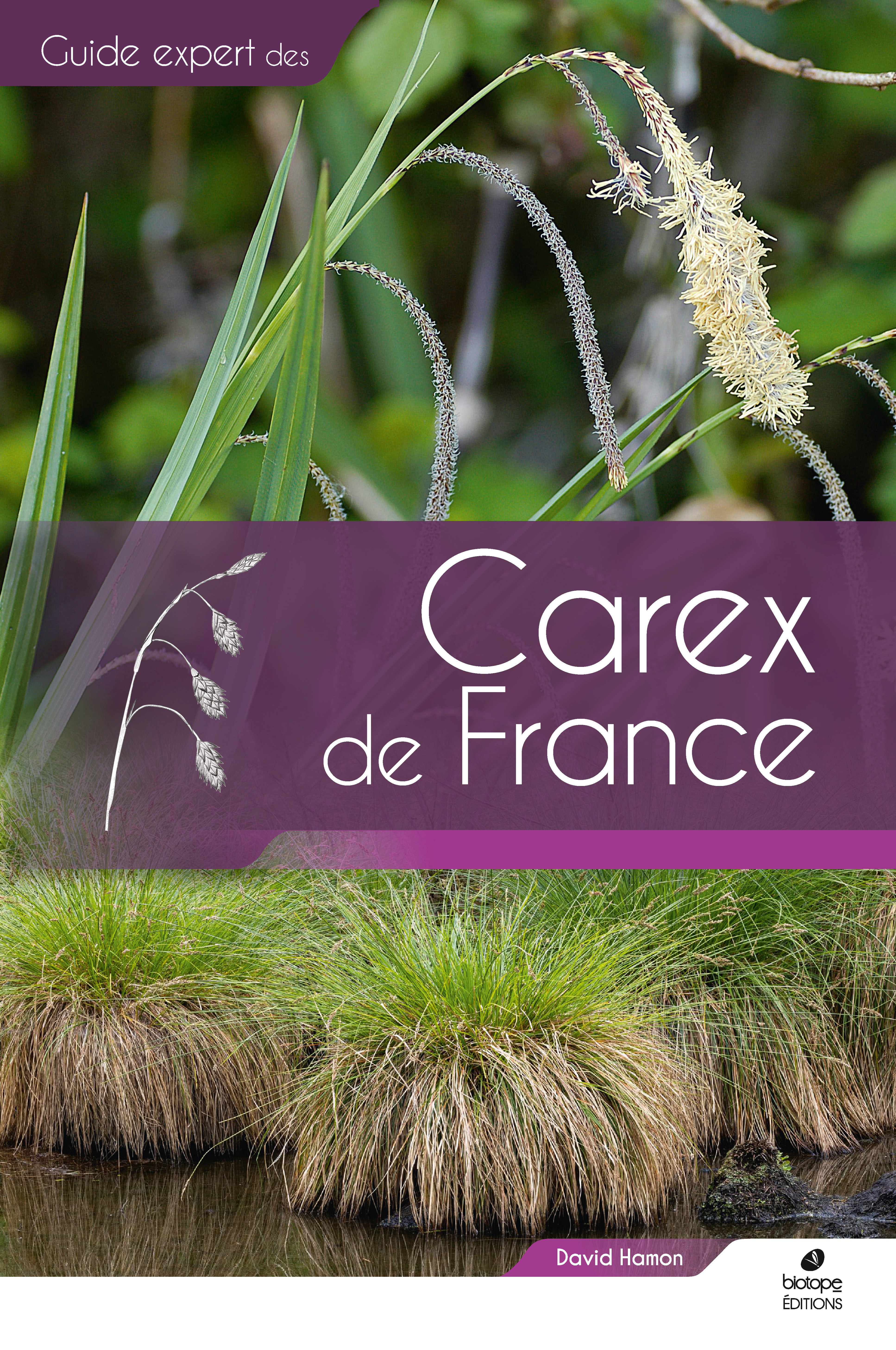CAREX DE FRANCE