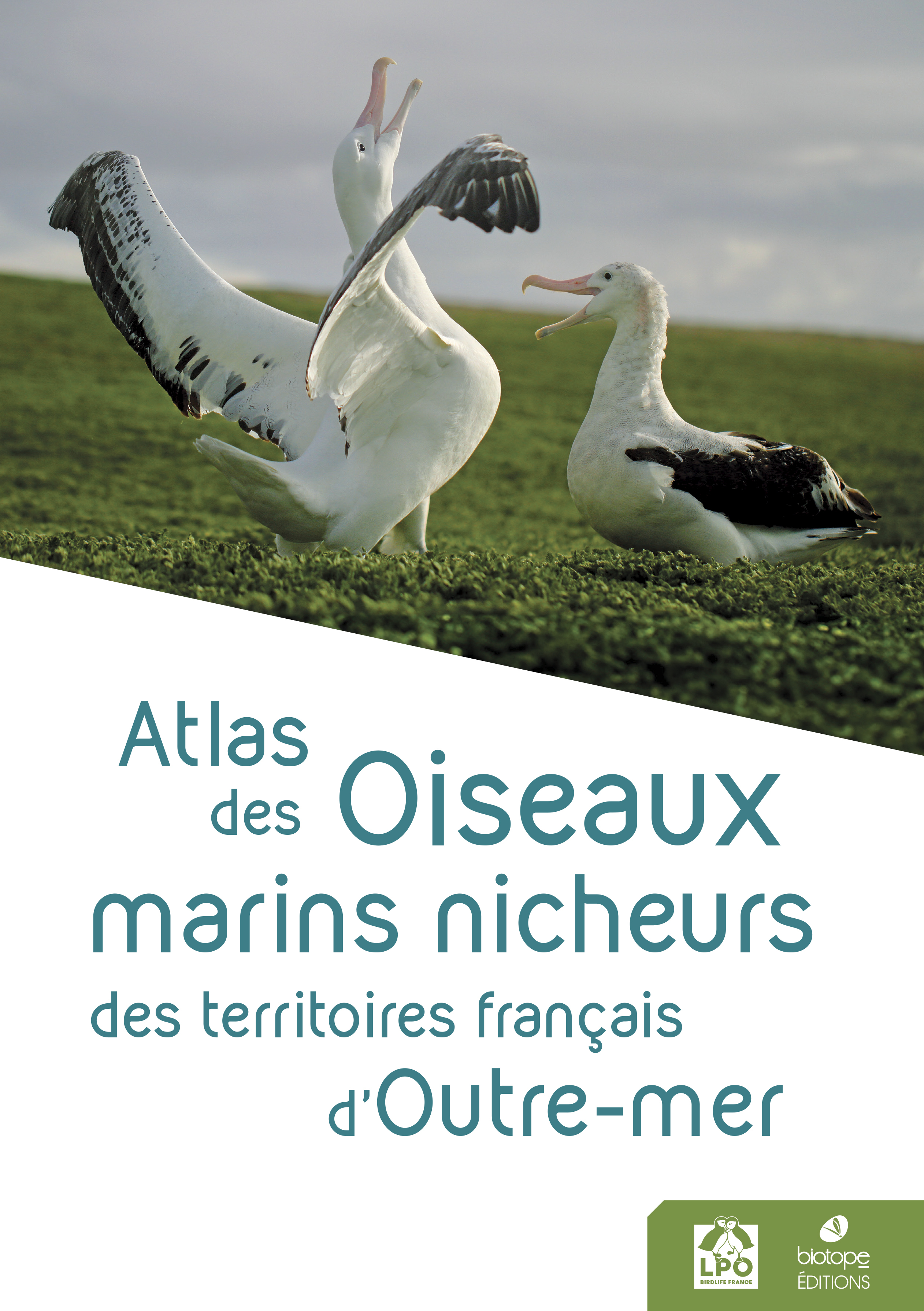 ATLAS DES OISEAUX MARINS NICHEURS DES TERRITOIRES FRANCAIS D´OUTRE-MER