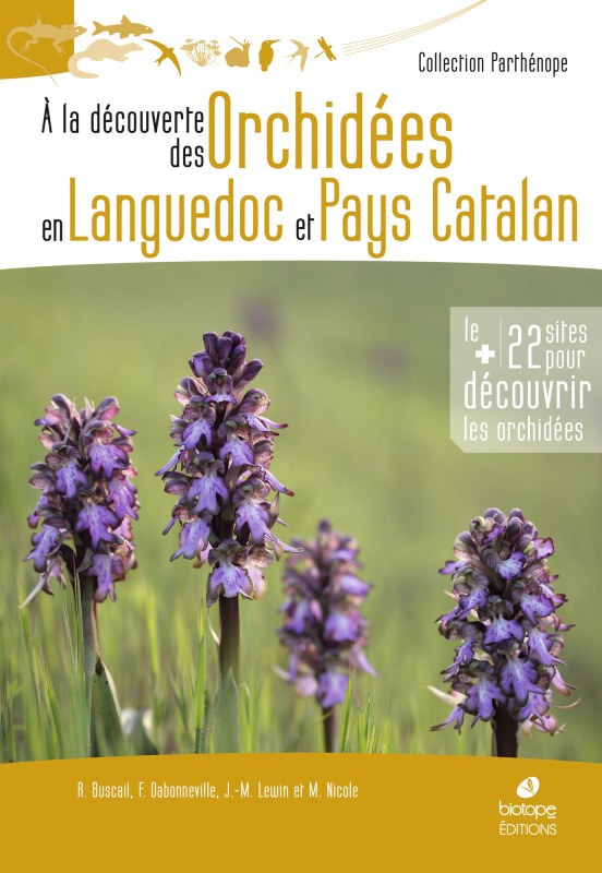 A LA DECOUVERTE DES ORCHIDEES EN LANGUEDOC ET PAYS CATALAN