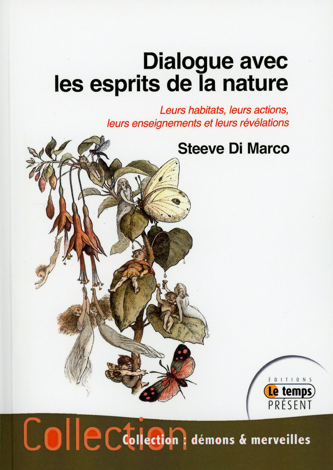 DIALOGUE AVEC LES ESPRITS DE LA NATURE - LEURS HABITATS, LEURS ACTIONS, LEU