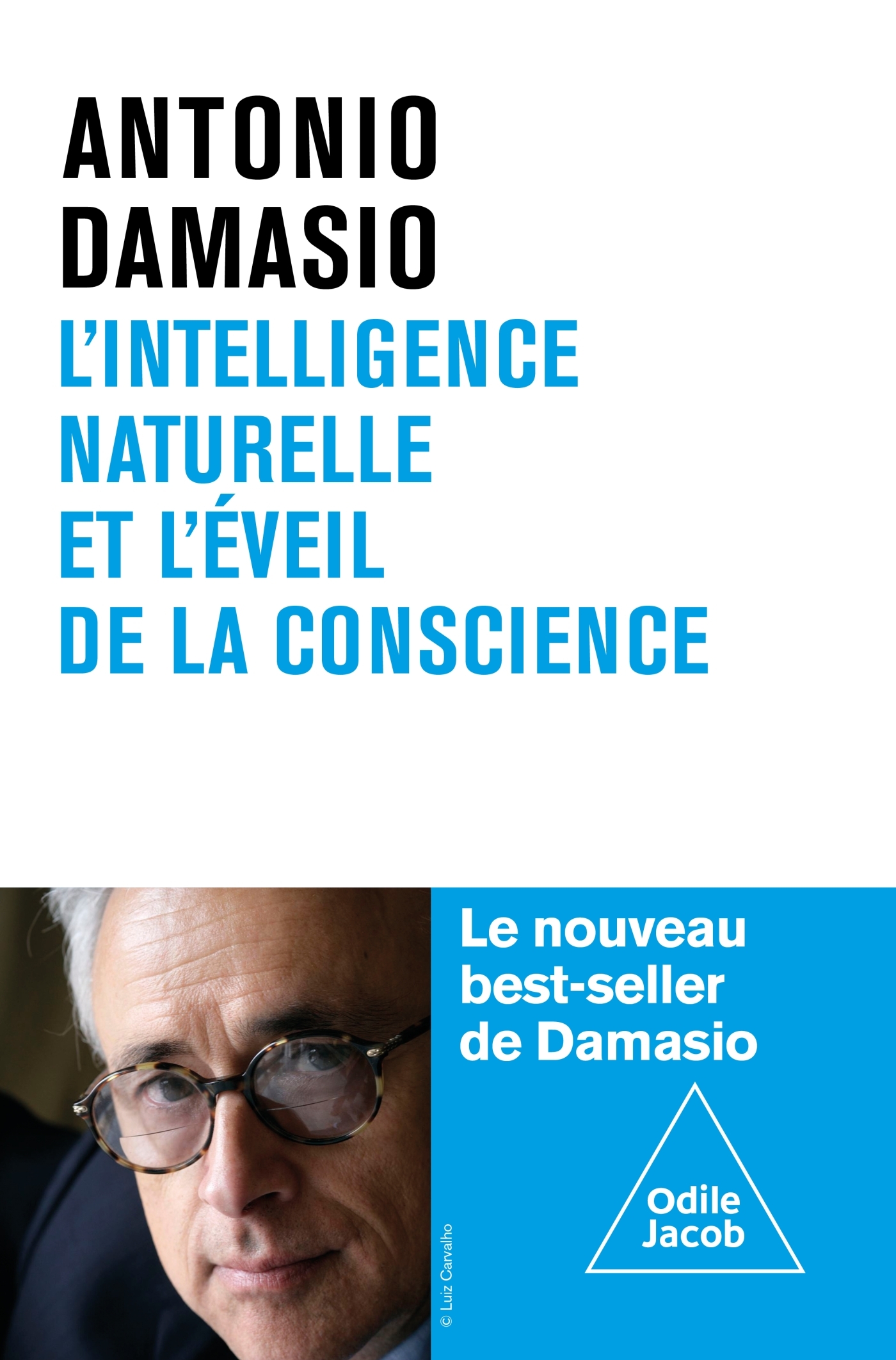 L´INTELLIGENCE NATURELLE ET L´EVEIL DE LA CONSCIENCE