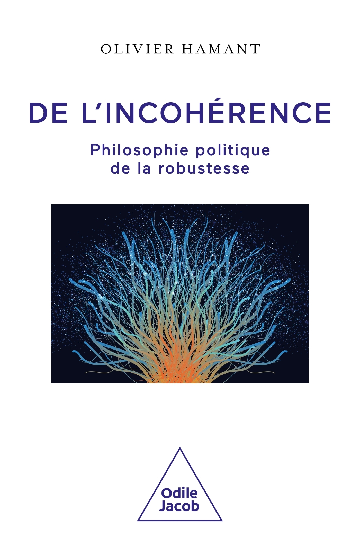 DE L´INCOHERENCE