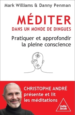 MEDITER DANS UN MONDE DE DINGUES - PRATIQUER ET APPROFONDIR LA PLEINE CONSCIENCE