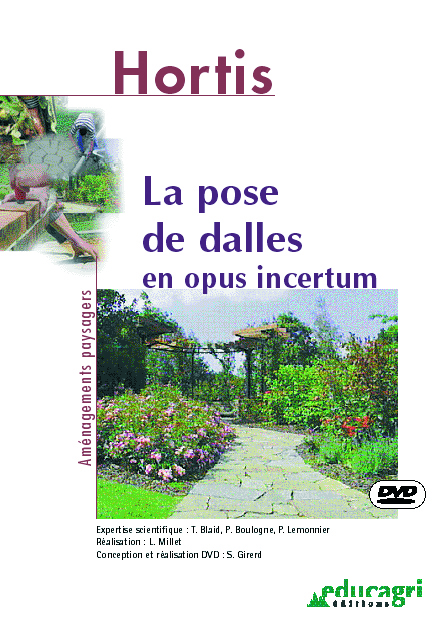 POSE DE DALLES EN OPUS INCERTUM (DVD) (LA)