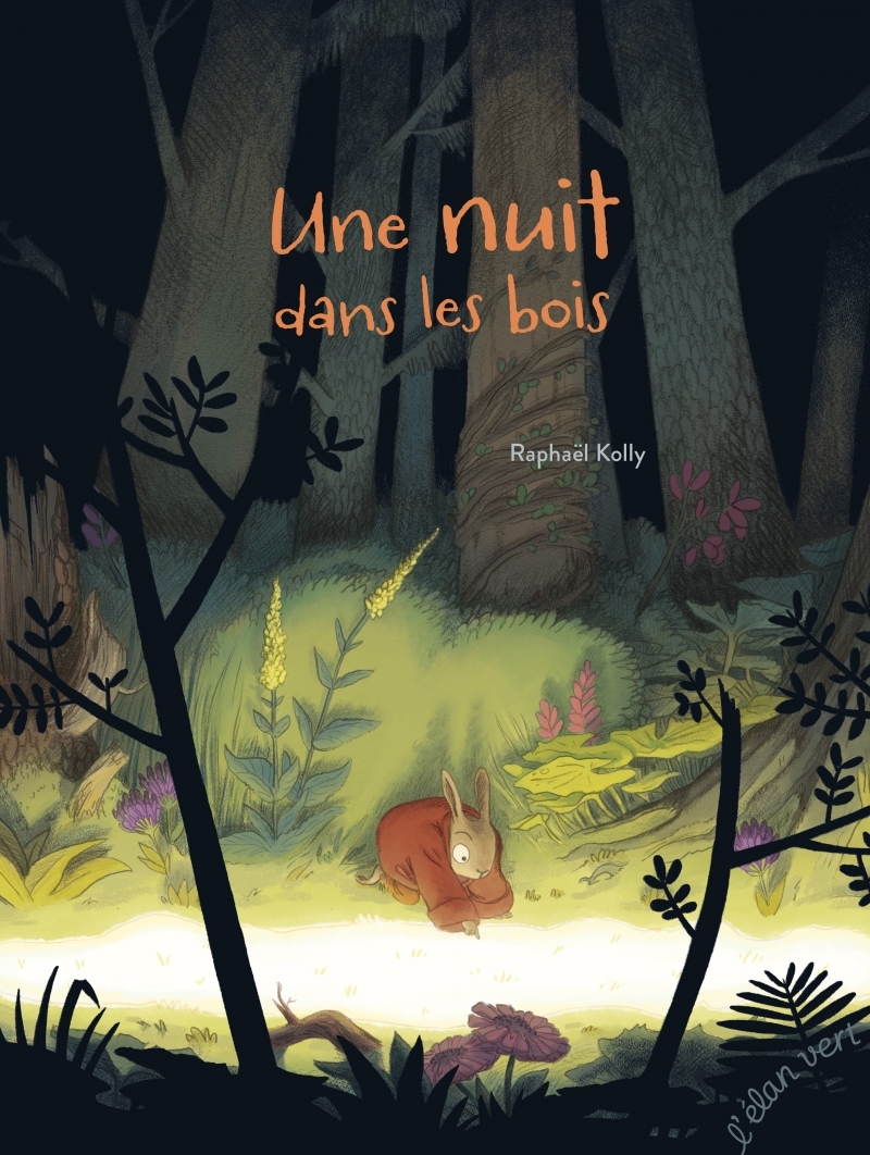 NUIT DANS LES BOIS