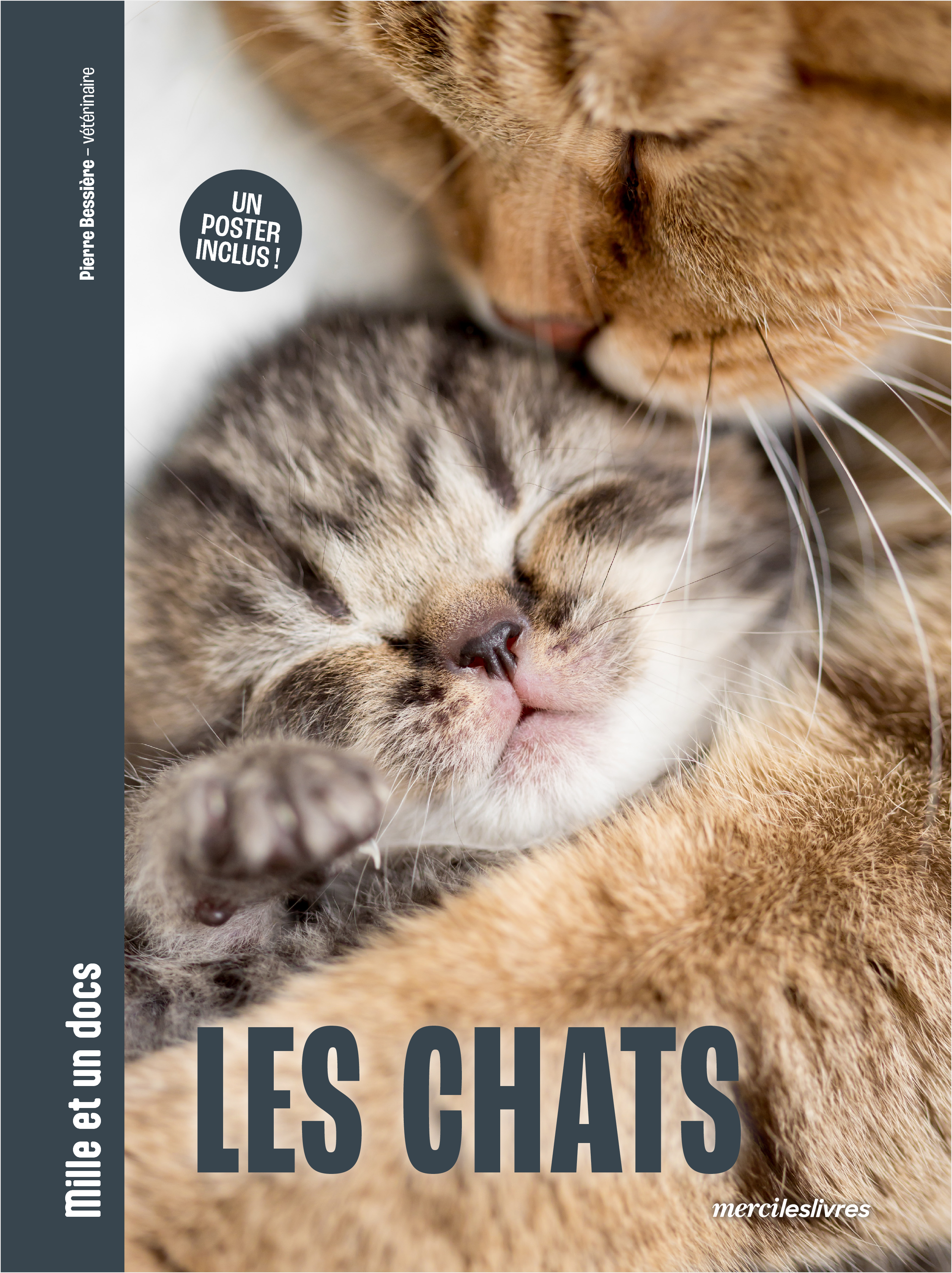 CHATS - MILLE ET UN DOCS - UN POSTER INCLUS !