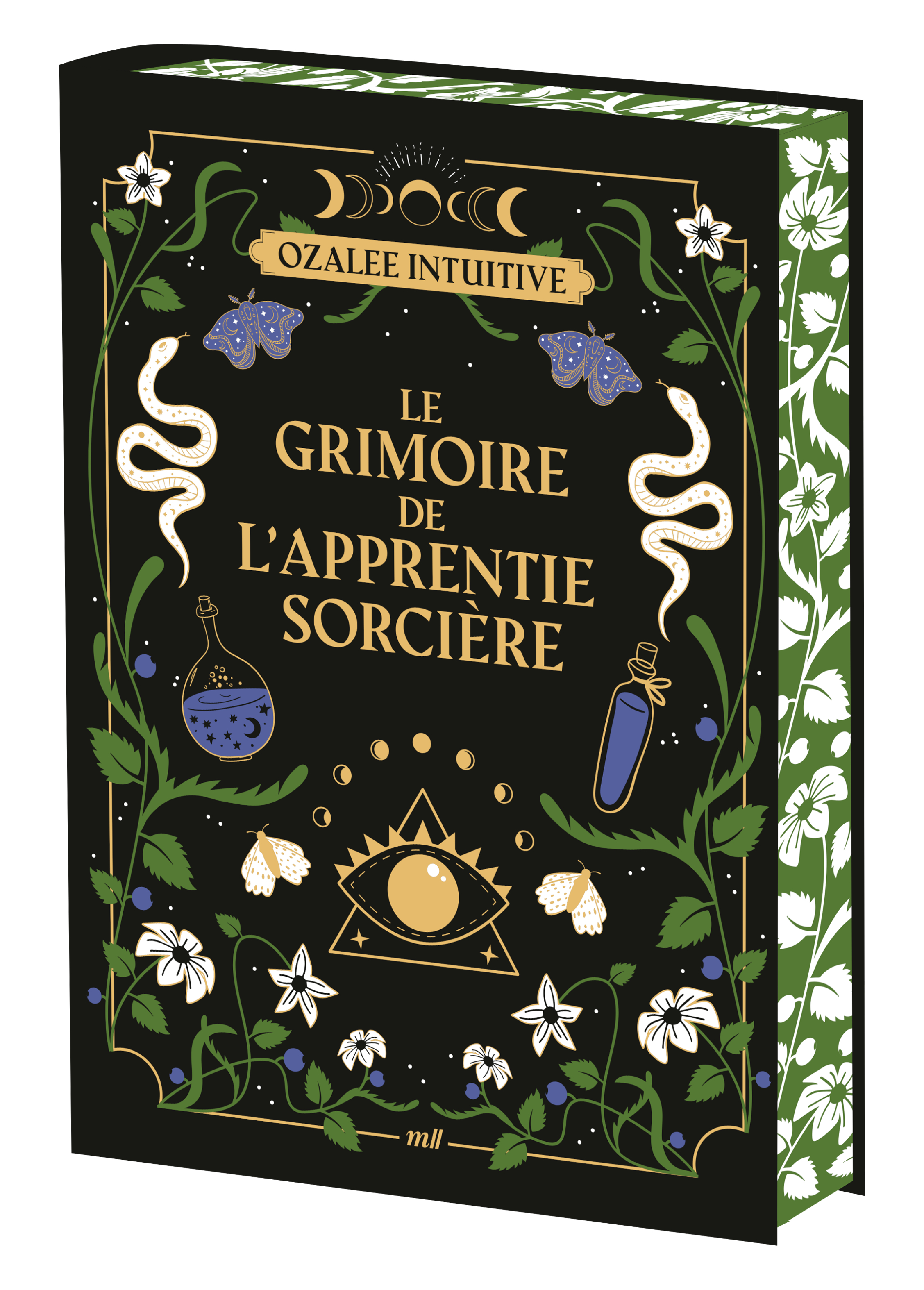 GRIMOIRE DE L´APPRENTIE SORCIERE