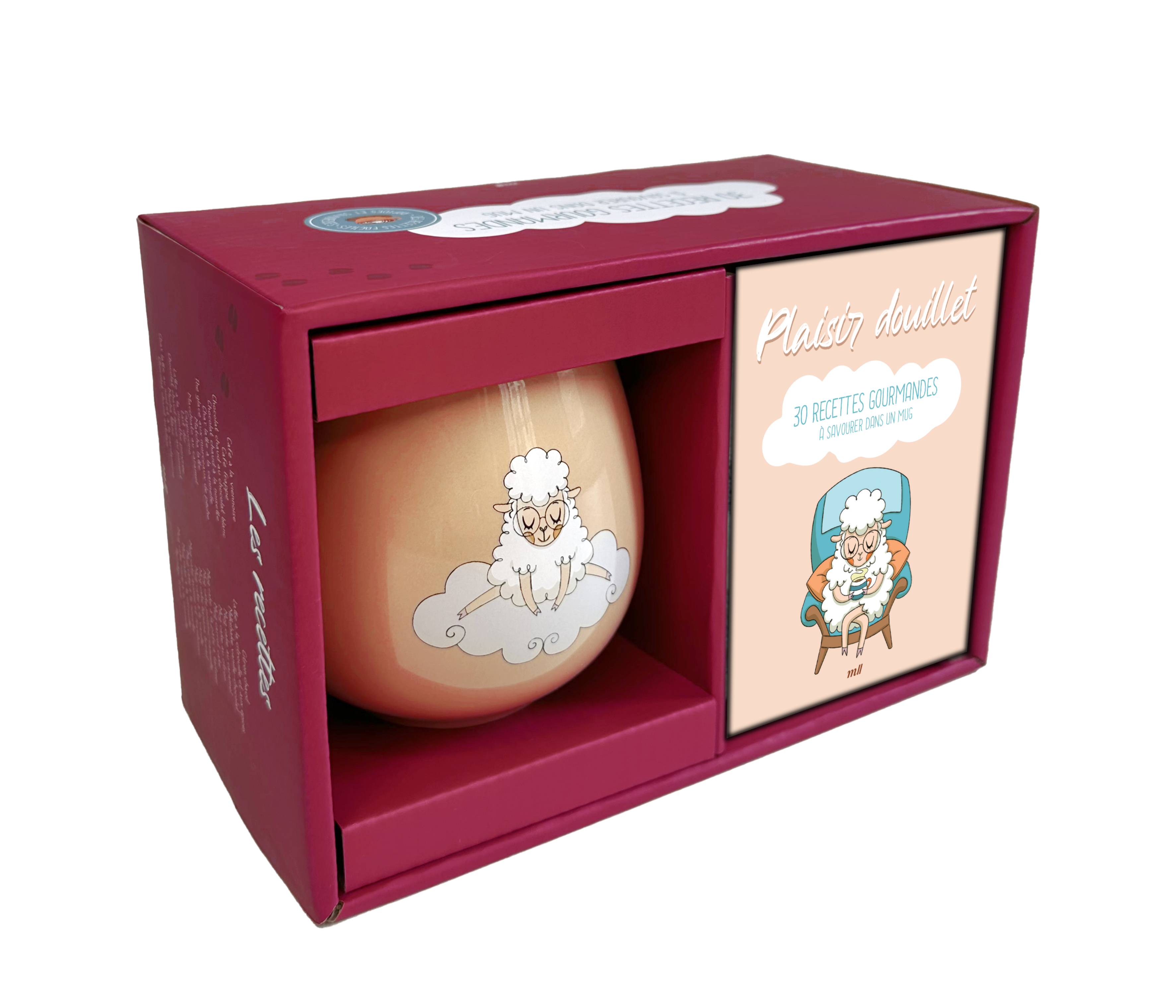 COFFRET MUG - PLAISIR DOUILLET - 30 RECETTES GOURMANDES - UN JOLI MUG EN CERAMIQUE ET UN LIVRE
