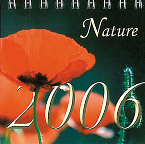 NATURE (PHOTOS)