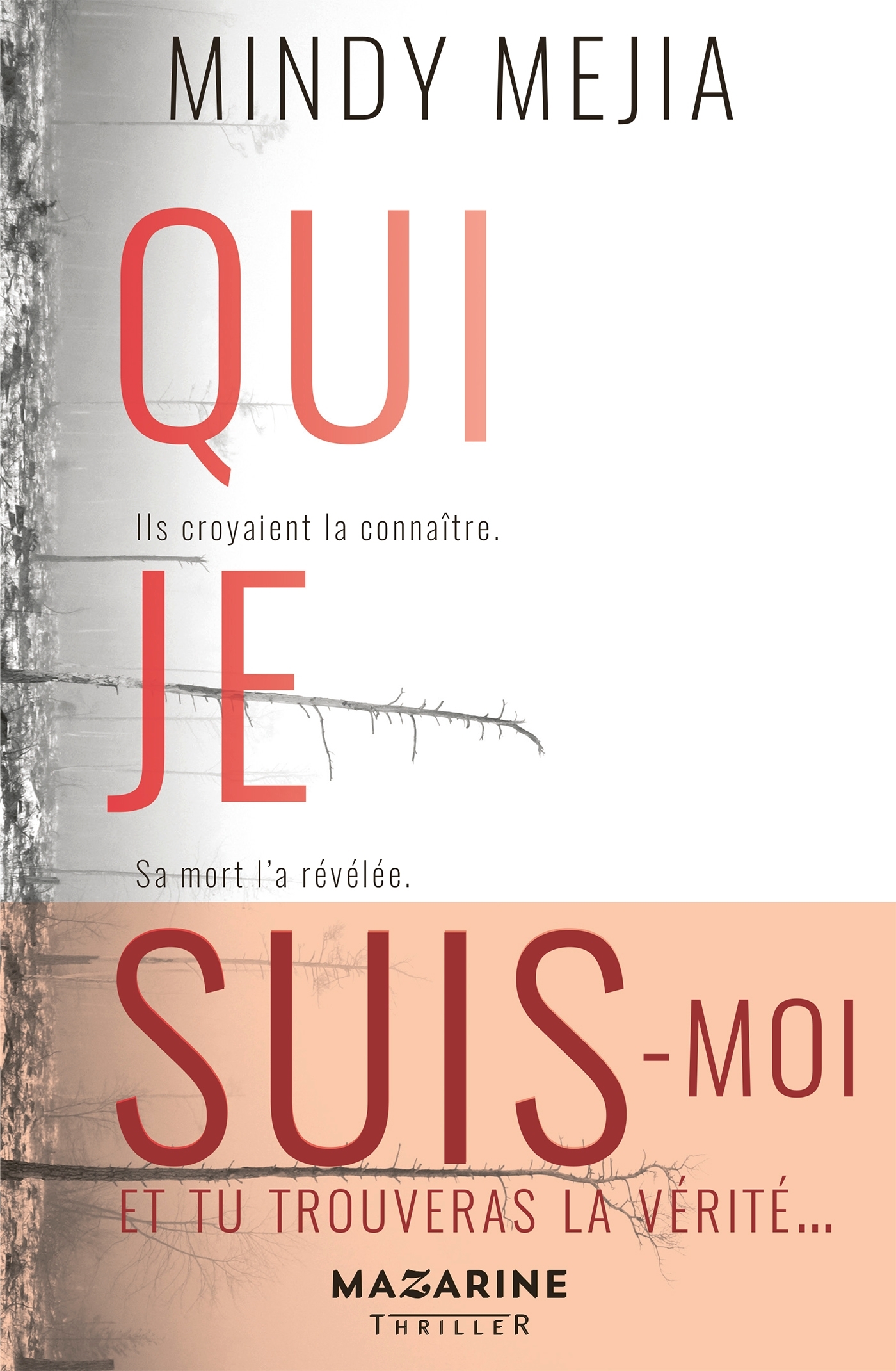 QUI JE SUIS