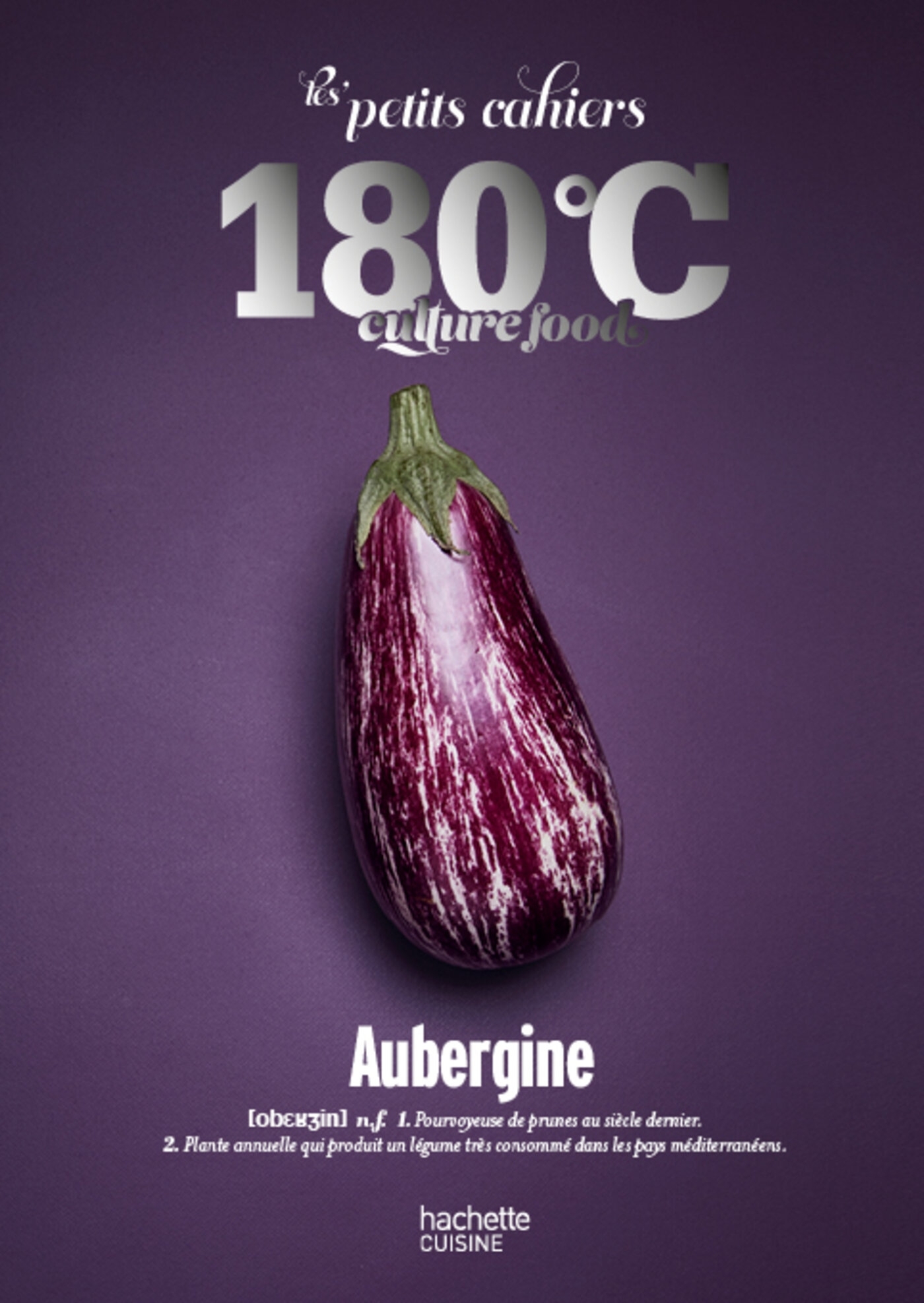 PETITS CAHIERS 180 C - AUBERGINE