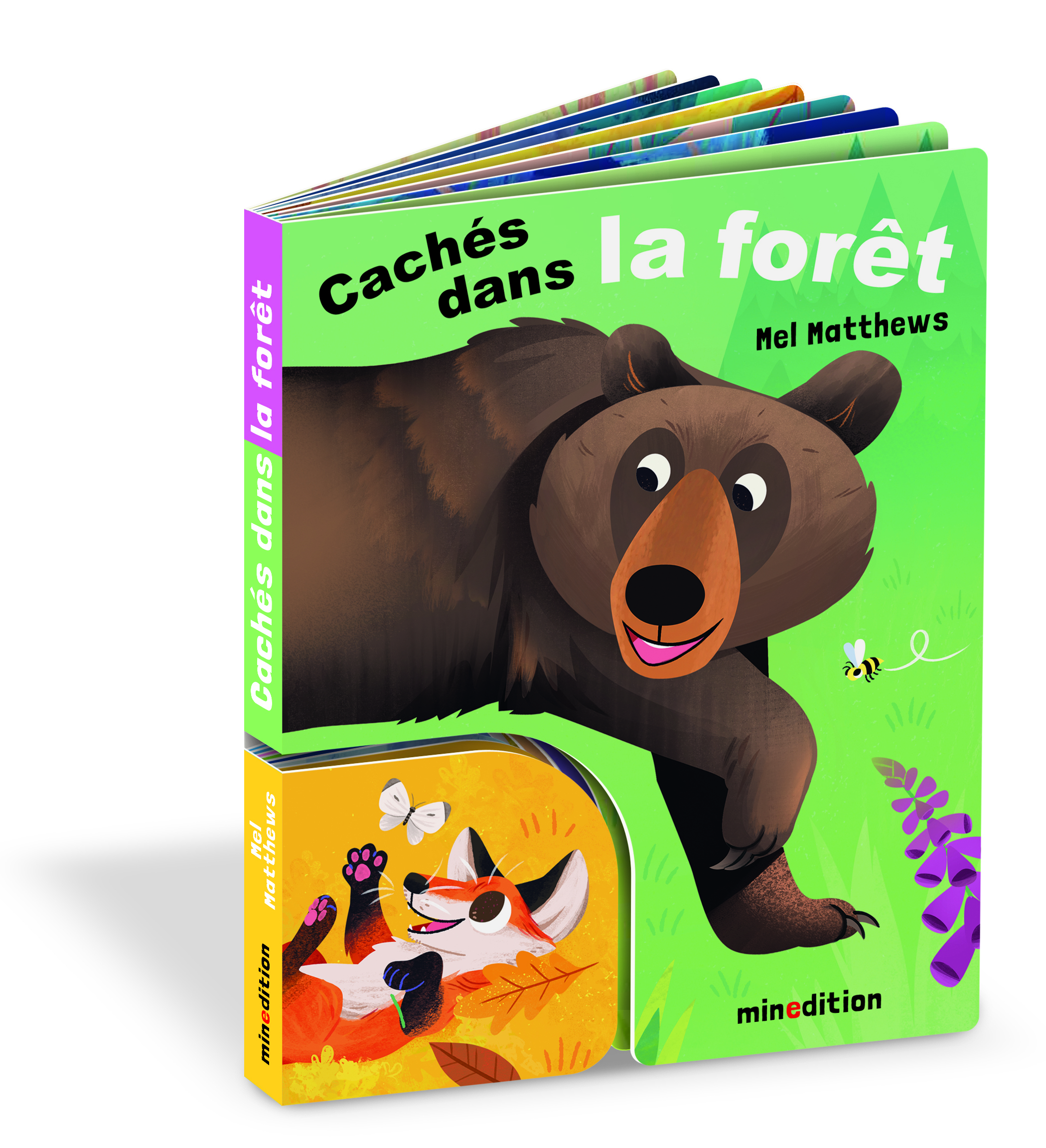 CACHES DANS LA FORET - ILLUSTRATIONS, COULEUR