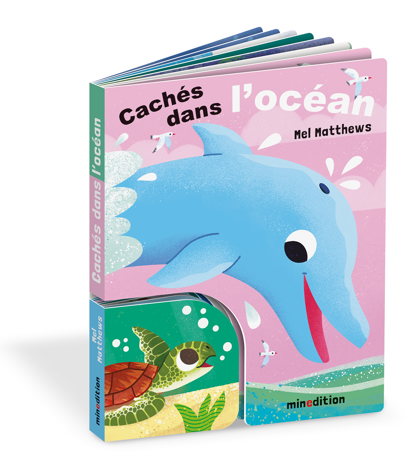 CACHES DANS L´OCEAN - ILLUSTRATIONS, COULEUR