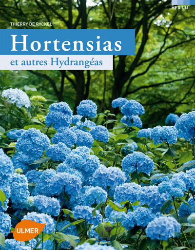 HORTENSIAS ET AUTRES HYDRANGEAS