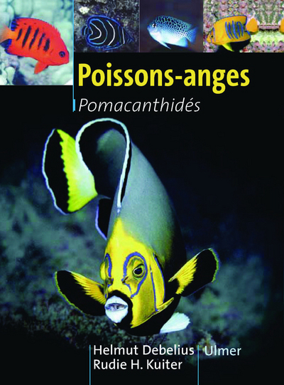 POISSONS ANGES