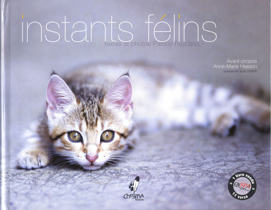 INSTANTS FELINS