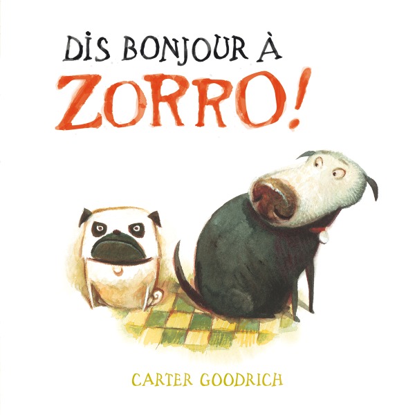 DIS BONJOUR A ZORRO !