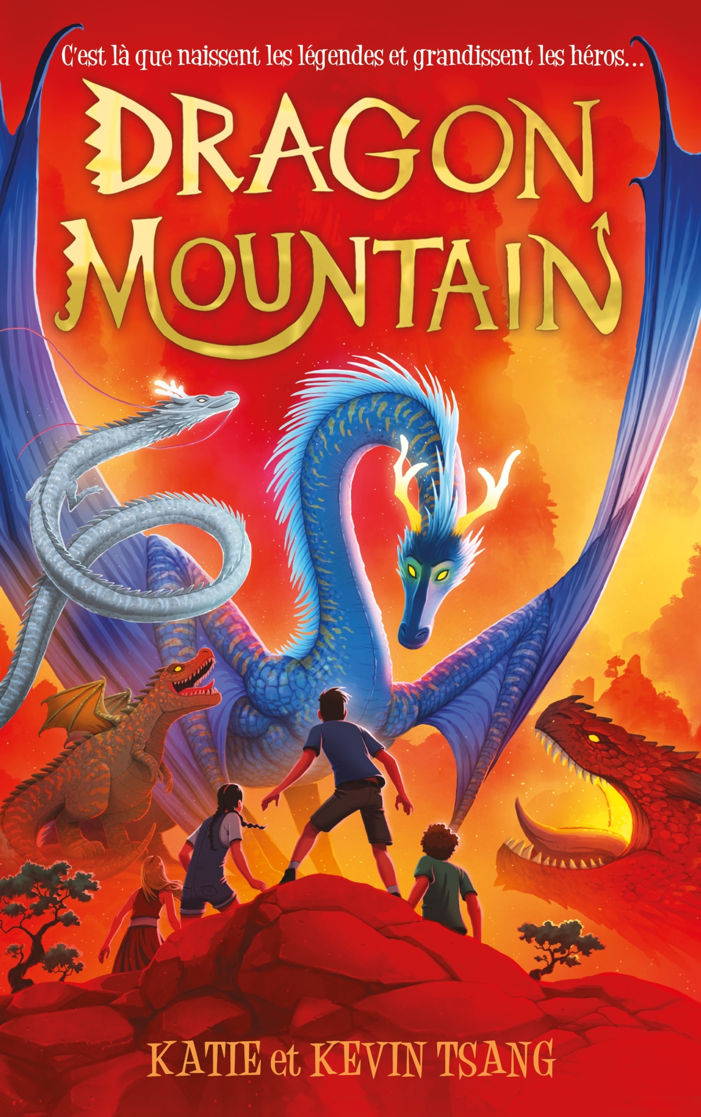 DRAGON MOUNTAIN - TOME 1