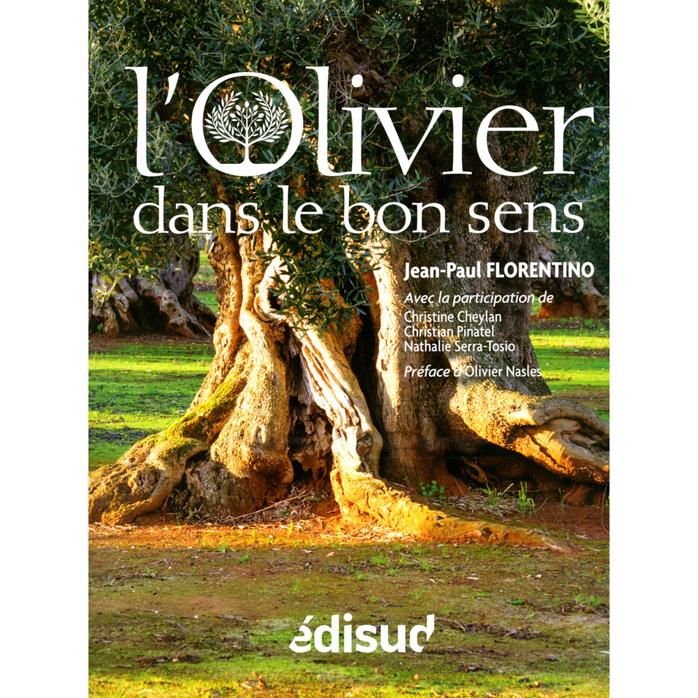 OLIVIER DANS LE BON SENS