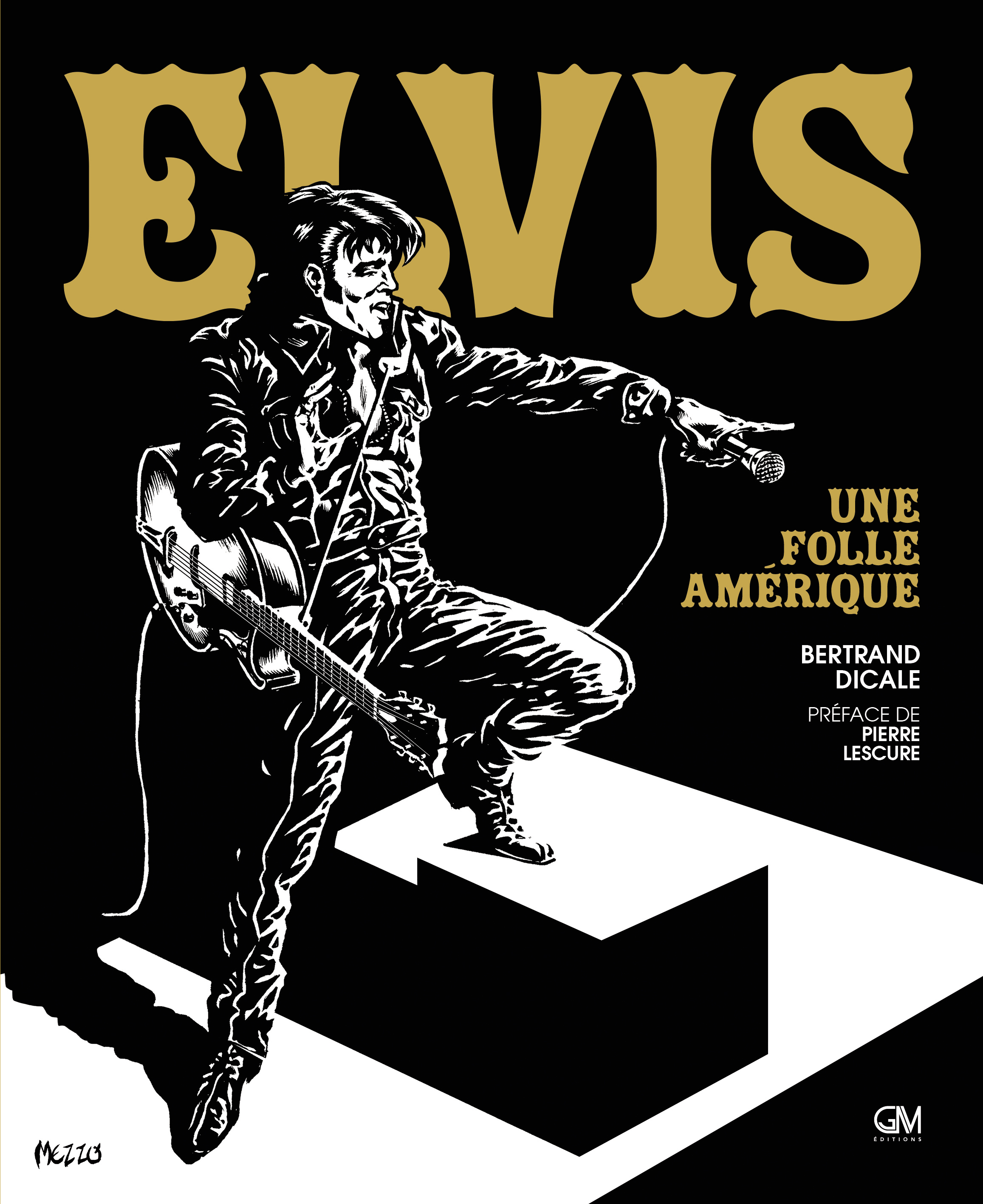 ELVIS PRESLEY - UNE FOLLE AMERIQUE
