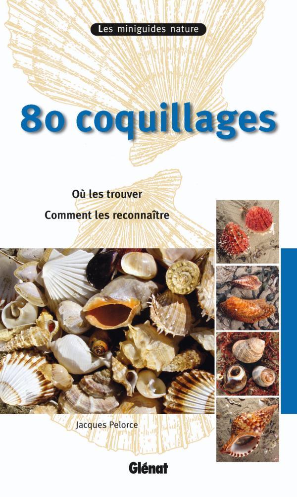 80 COQUILLAGES