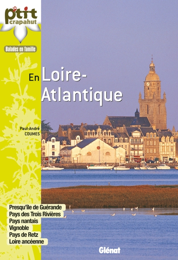 EN LOIRE-ATLANTIQUE - PRESQU´ILE DE GUERANDE, PAYS DES TROIS RIVIERES, PAYS NANTAIS, VIGNOBLE, PAYS